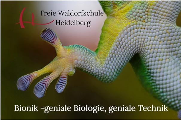 Bionik-geniale Biologie, geniale Technik